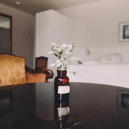 Hotel Vaeaeksyn Apteekinmajoitus