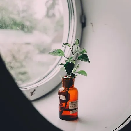 Vaeaeksyn Apteekinmajoitus Hotel