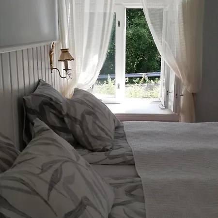 Vaeaeksyn Apteekinmajoitus Hotel 4*